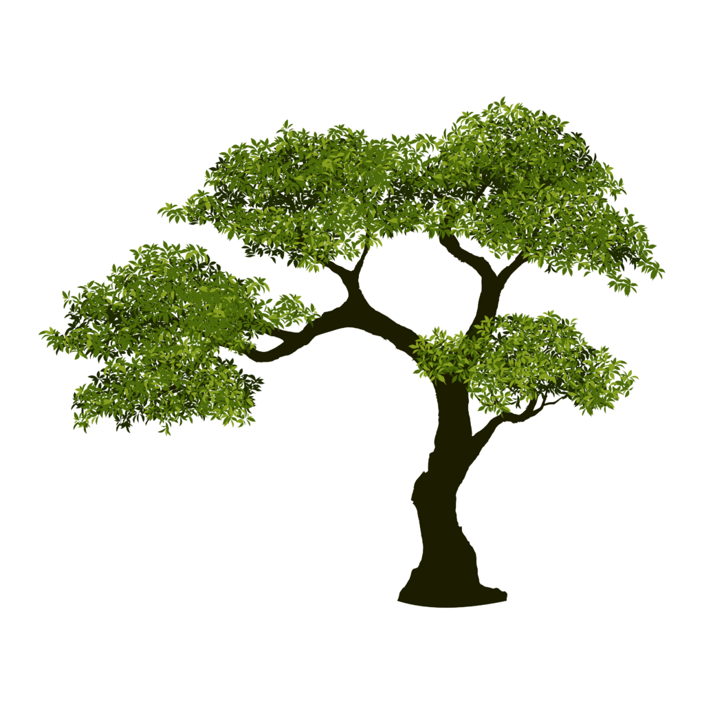 hero transparent tree