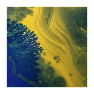 Algae ink plastic