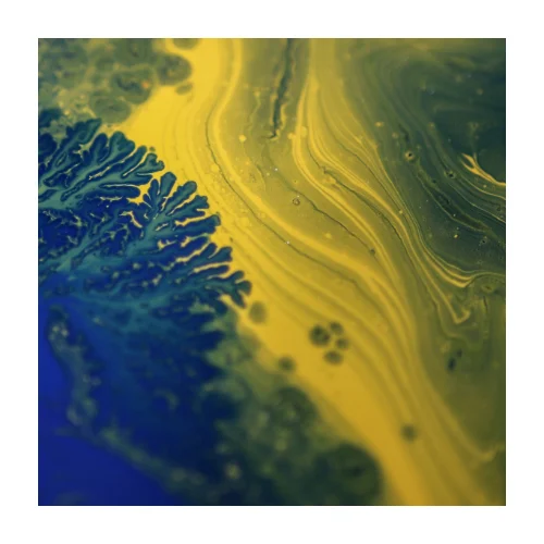 Algae ink plastic