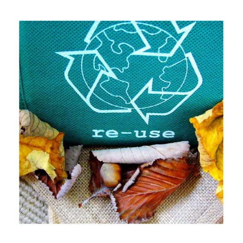 reuse bag plastic free